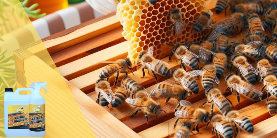 Auf Wiedersehen Varroa, Hallo gesunde Bienenstöcke: Ein umfassender Leitfaden zu Behandlungen