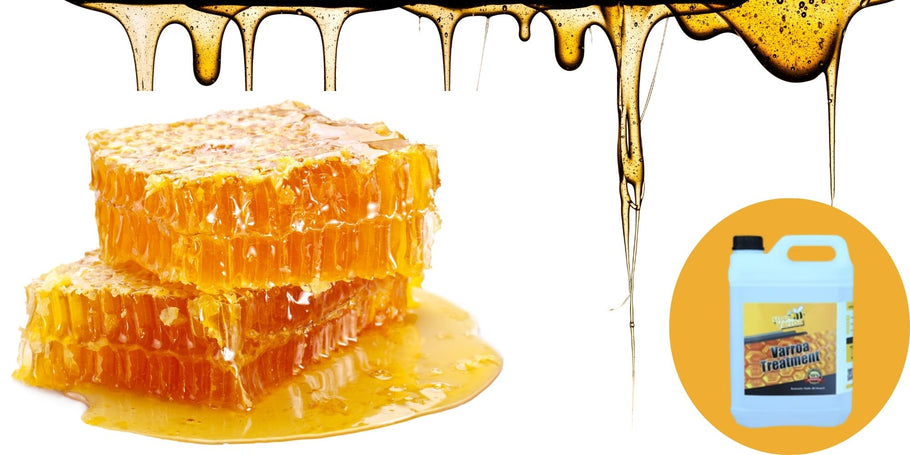 Imkerei: Alarm, Honigproduktion geht zurück!