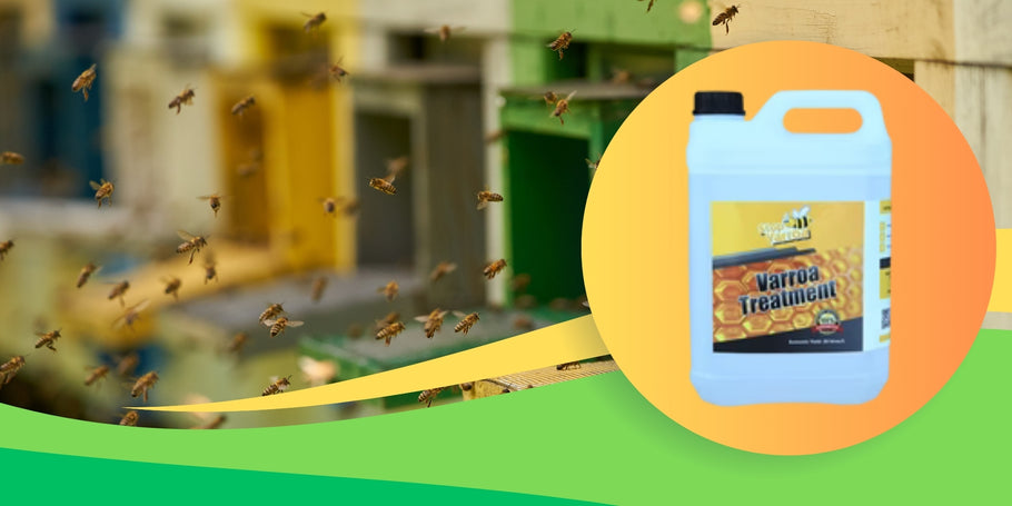 Entdecken Sie Stop Varroa, die sichere und effektive Varroabehandlung, die Sie suchen!
