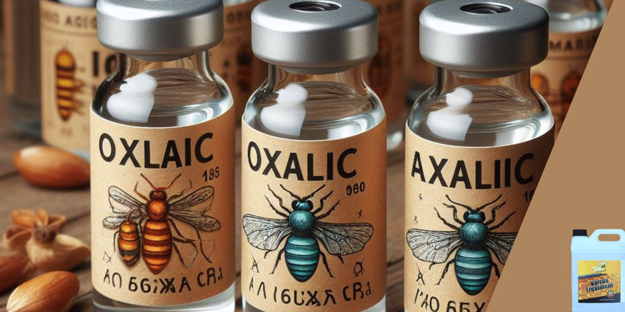 Kampf gegen Varroa: Behandlung mit Oxalsäure, eine vielversprechende Alternative