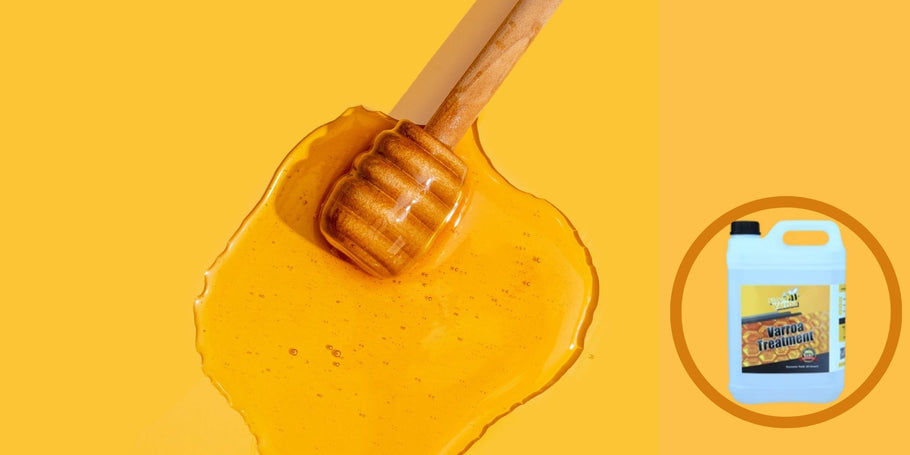 Das Rätsel des verschwundenen Honigs: Diagnose von Produktionsproblemen mit Ihrem Honig