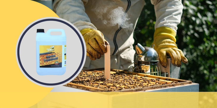 Kampf gegen die Varroa-Milbe: Schlüsselmomente zur Erhaltung der Bienengesundheit