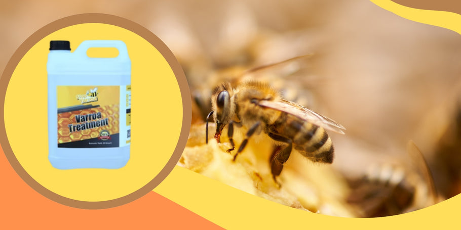 Was kann ich tun, um den Befall meiner Bienenstöcke mit Varroamilben zu verhindern?
