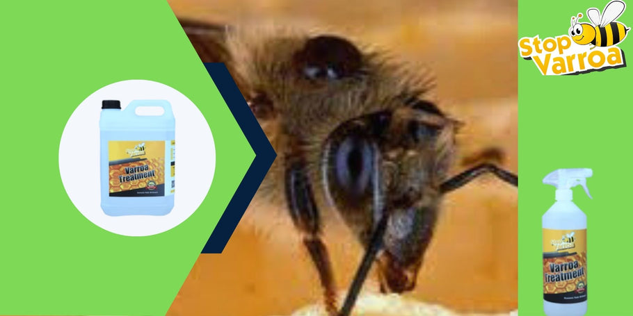 Anti-Varroa-Revolution: Die Lösung, die Ihre Bienen rettet