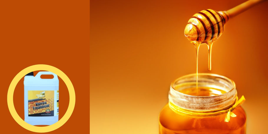 SOS Honig: Mein Bienenstock produziert nicht mehr! Die Varroamilbe, der erklärte Feind der Bienen