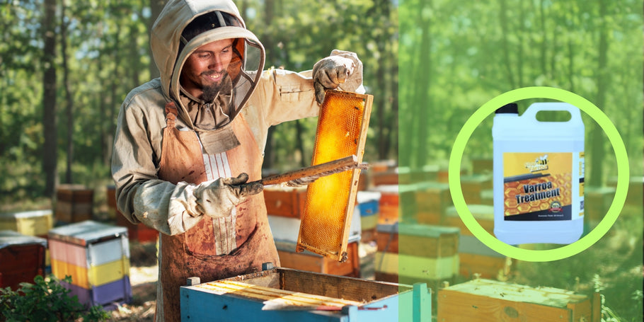 Anti-Varroa-Behandlung: Schützen Sie Ihre Bienen und steigern Sie Ihre Honigproduktion